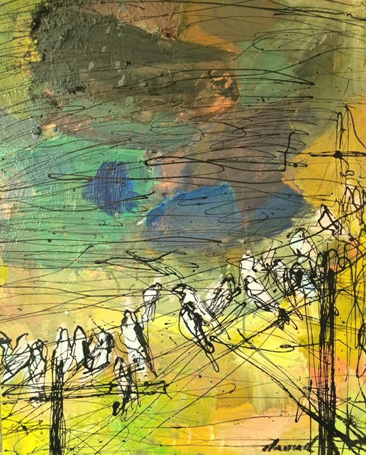 Oiseaux David Daoud